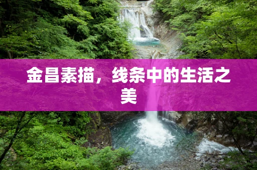 金昌素描，线条中的生活之美