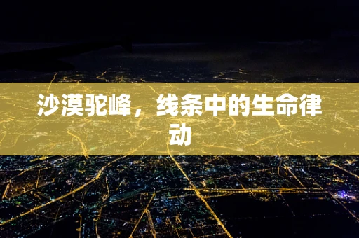 沙漠驼峰，线条中的生命律动