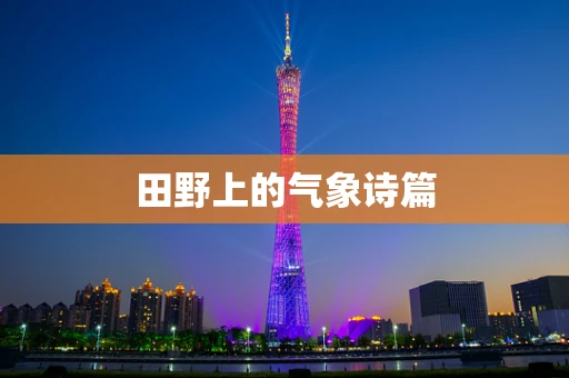 田野上的气象诗篇