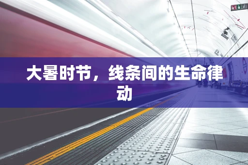 大暑时节，线条间的生命律动