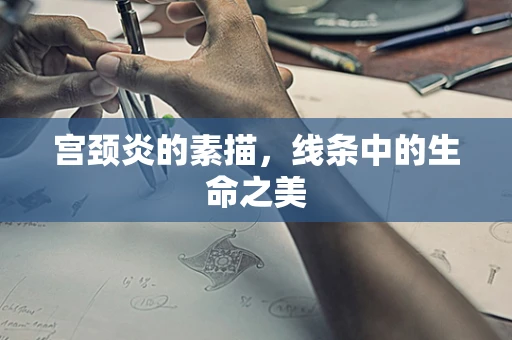 宫颈炎的素描，线条中的生命之美