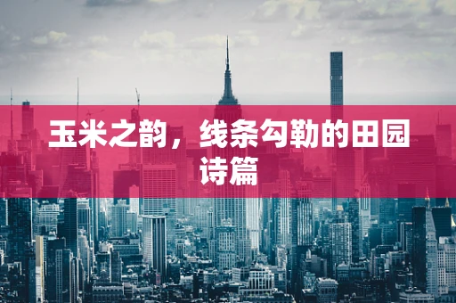 玉米之韵，线条勾勒的田园诗篇