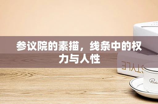 参议院的素描，线条中的权力与人性