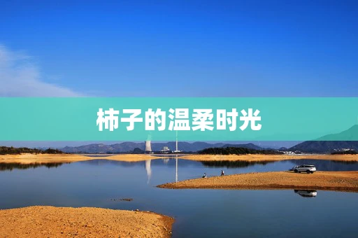 柿子的温柔时光