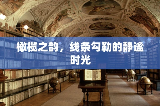 橄榄之韵，线条勾勒的静谧时光