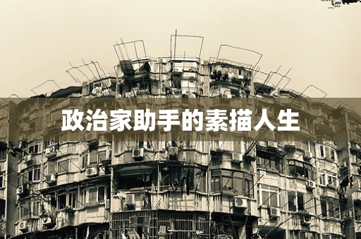 政治家助手的素描人生
