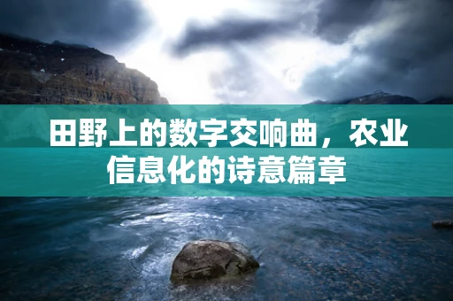 田野上的数字交响曲，农业信息化的诗意篇章