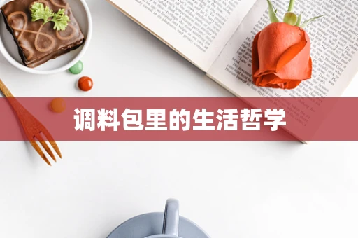 调料包里的生活哲学