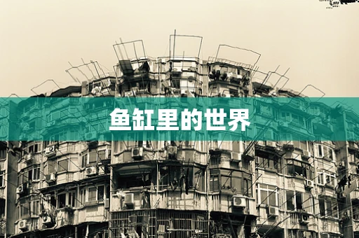 鱼缸里的世界