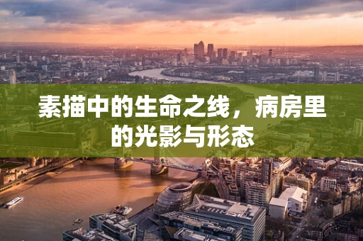 素描中的生命之线，病房里的光影与形态