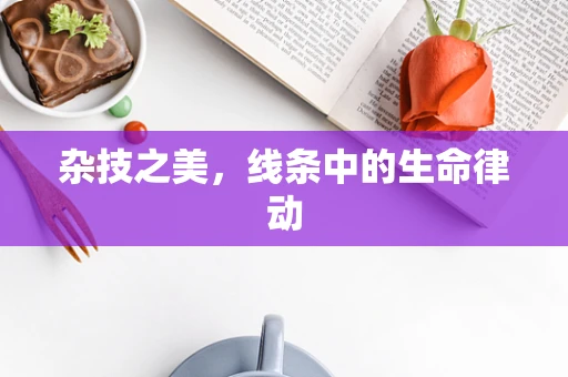 杂技之美，线条中的生命律动