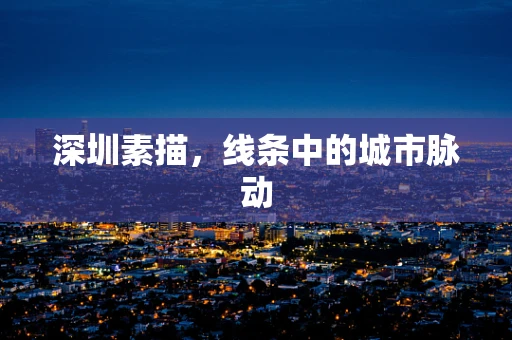 深圳素描，线条中的城市脉动