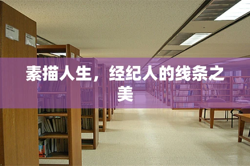 素描人生，经纪人的线条之美