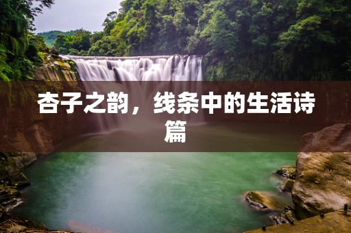 杏子之韵，线条中的生活诗篇
