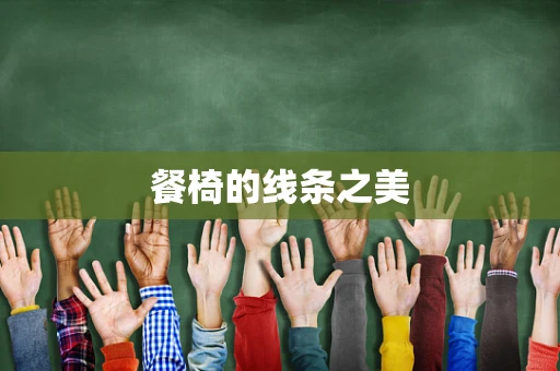 餐椅的线条之美