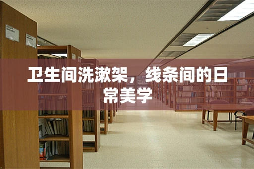 卫生间洗漱架，线条间的日常美学