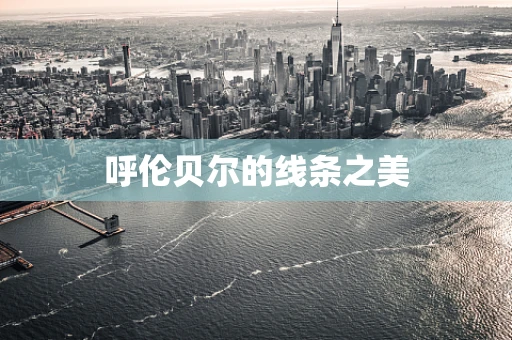 呼伦贝尔的线条之美