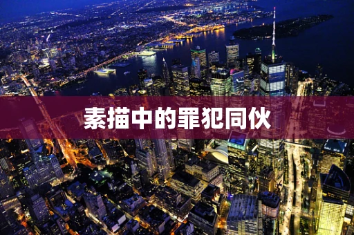 素描中的罪犯同伙