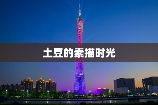 土豆的素描时光