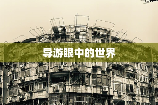 导游眼中的世界