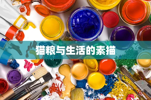 猫粮与生活的素描