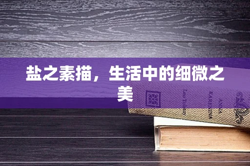 盐之素描，生活中的细微之美