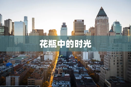 花瓶中的时光