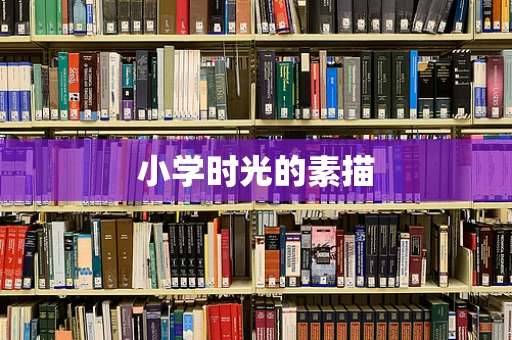 小学时光的素描