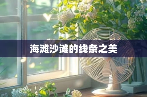 海滩沙滩的线条之美