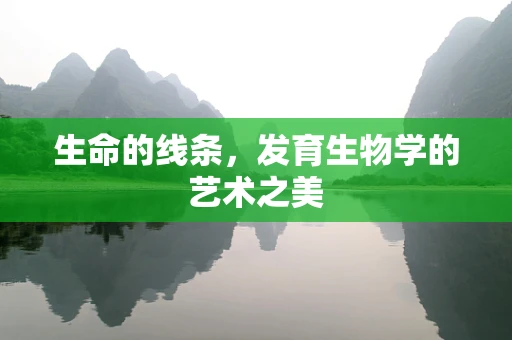 生命的线条，发育生物学的艺术之美