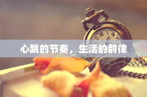 心跳的节奏，生活的韵律