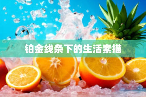 铂金线条下的生活素描