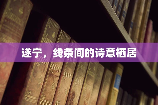 遂宁，线条间的诗意栖居