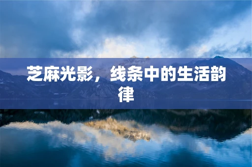 芝麻光影，线条中的生活韵律