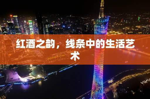 红酒之韵，线条中的生活艺术