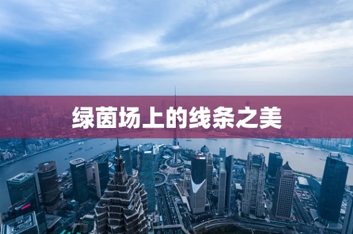 绿茵场上的线条之美