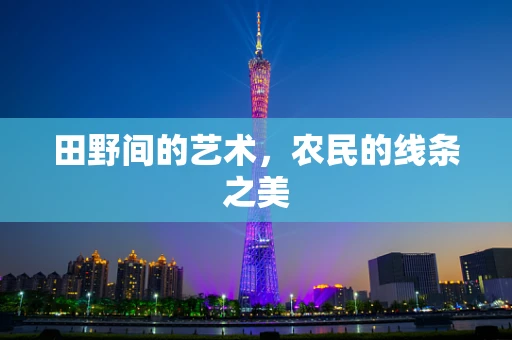 田野间的艺术，农民的线条之美