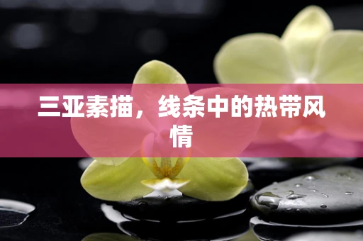 三亚素描，线条中的热带风情