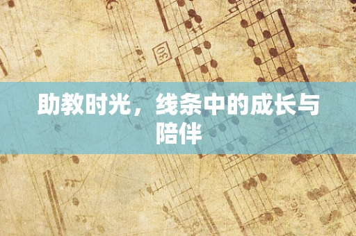 助教时光，线条中的成长与陪伴