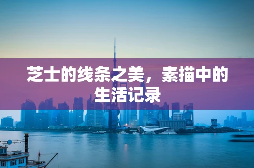 芝士的线条之美，素描中的生活记录