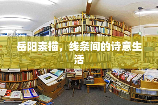 岳阳素描，线条间的诗意生活