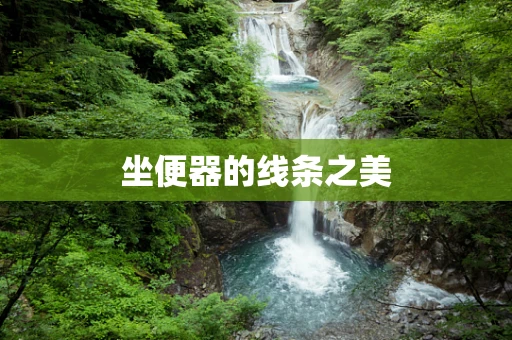 坐便器的线条之美