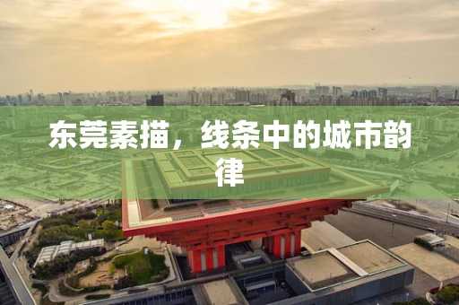 东莞素描，线条中的城市韵律