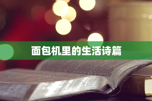 面包机里的生活诗篇