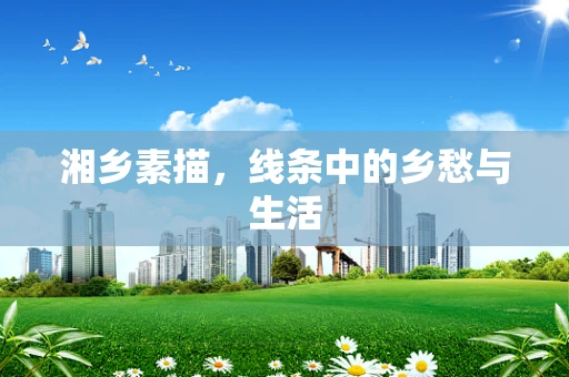 湘乡素描，线条中的乡愁与生活