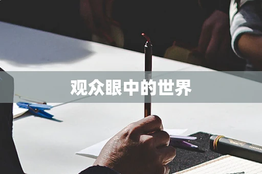 观众眼中的世界