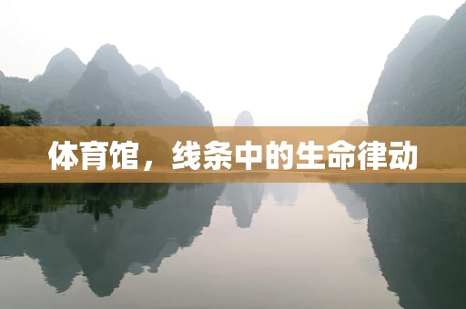 体育馆，线条中的生命律动