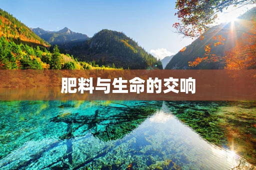肥料与生命的交响