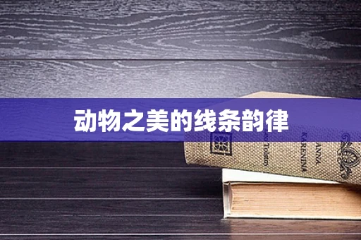 动物之美的线条韵律