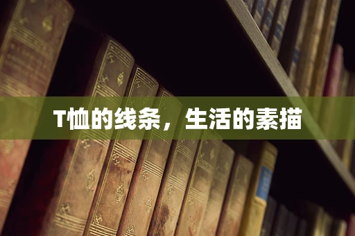 T恤的线条，生活的素描